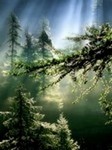 Aurora - LG | Tonos gratis